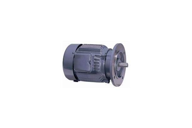 Three Phase Totally Enclosed Fan Cooled (Flange Type)
