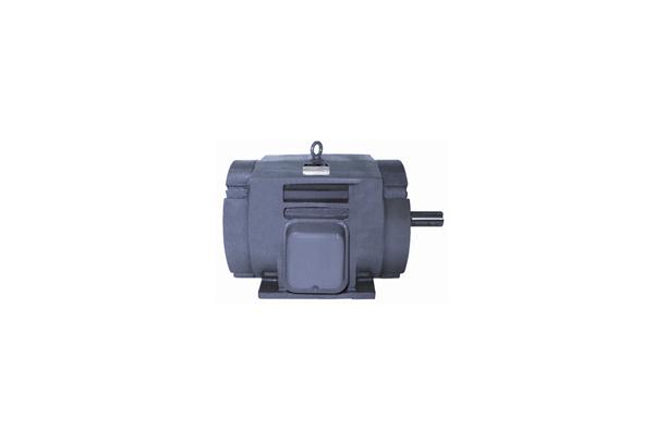 Three Phase Open Drip Proof Type