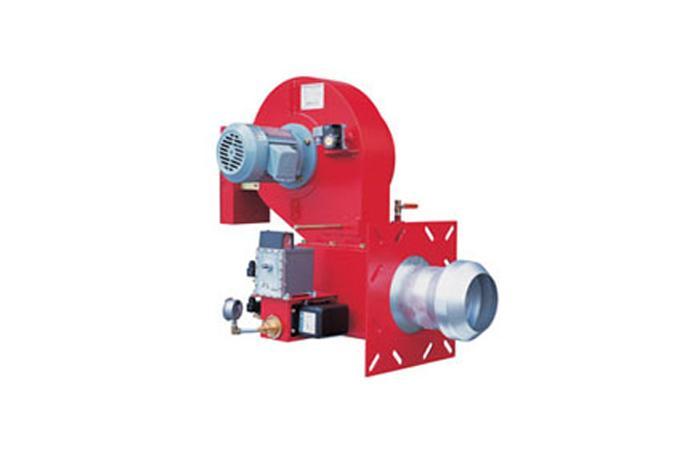 Dual Burner