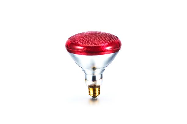 LED Light Bulb