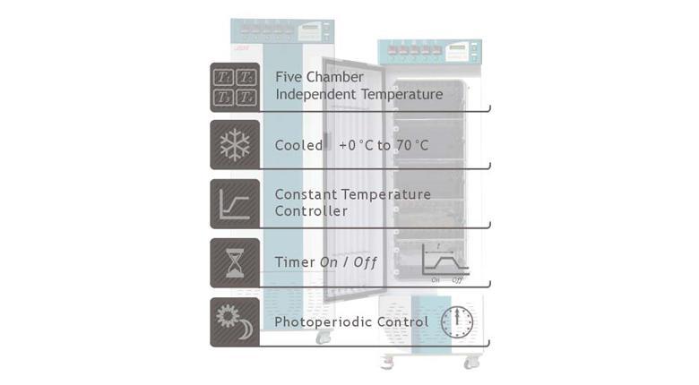 Five x 44L Multi-Room Incubator
