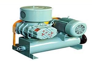 Rotary Blower