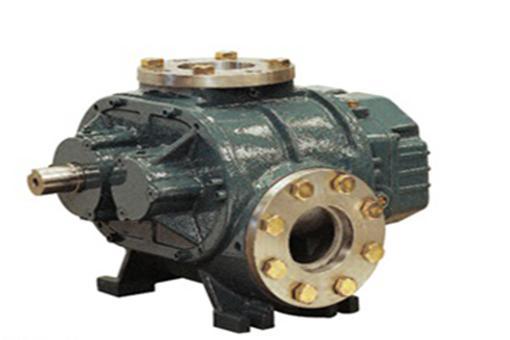 Rotary Blower