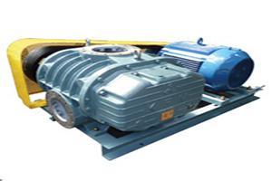 Rotary Blower