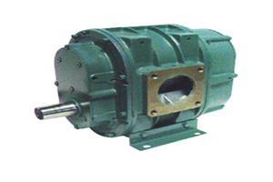 Rotary Blower