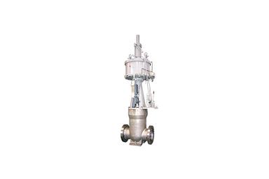 Gate Valve
