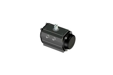 RD/RS (rack pinion)