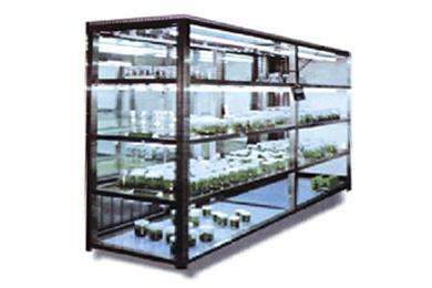 Culture Shelves