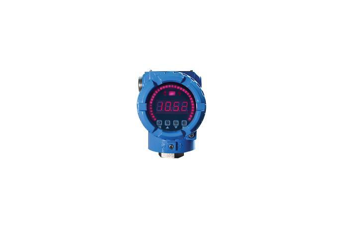 Immersion Type Level Transmitter
