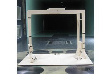 Wind Tunnel