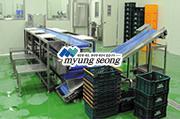 Food Service Preprocessing System