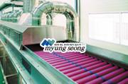 Sweet Potato Washing and Packing System