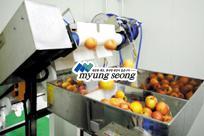 Apple Washing Line