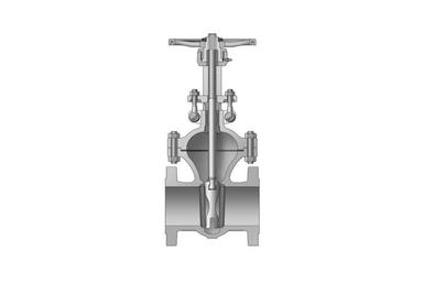 Cast Steel Valve