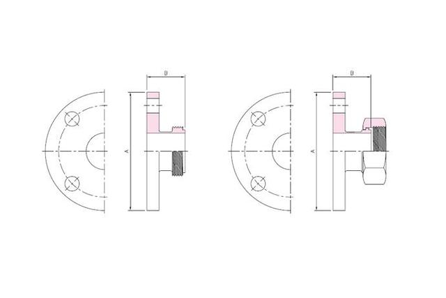 Hex Union Fittings - Flange Adapter