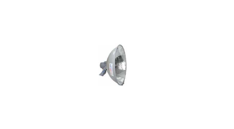 Flood Light