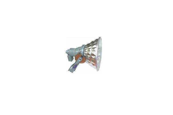 Diamond Flood Light