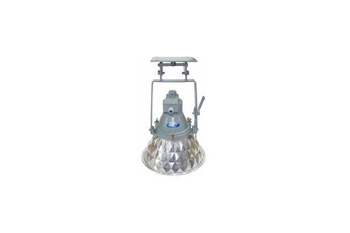Diamond Crane Light