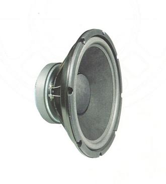 Monitor Speaker
