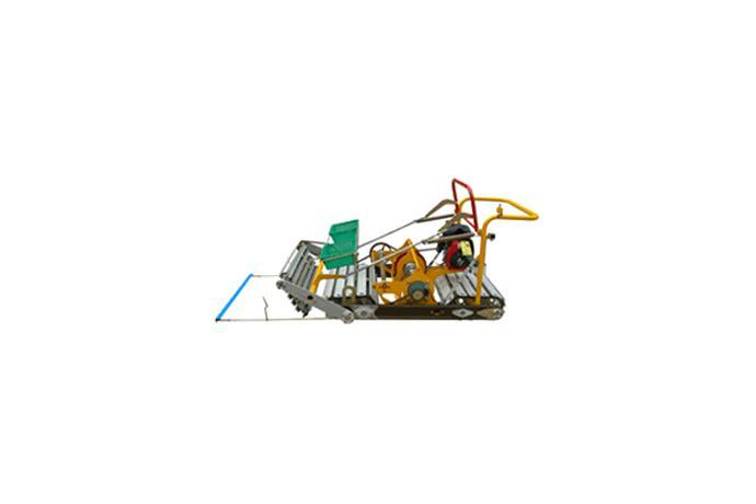 Sowing-in-cluster type Transplanter