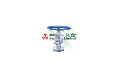 Globe Valve