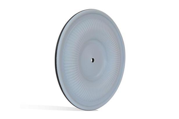 Garlock ONE UP® Pump Diaphragm