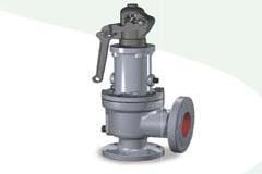 Type 1900/P Safety Relief Valve