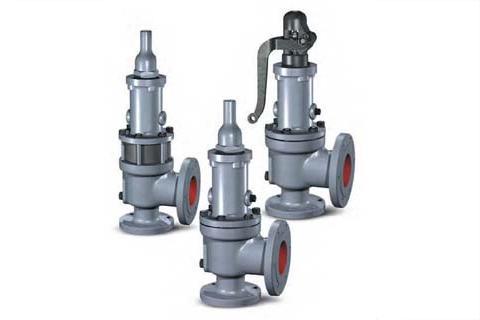 Type 1900 Safety Relief Valve
