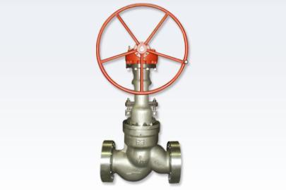 Pressure Seal Valves