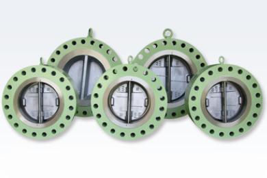 Check Valves