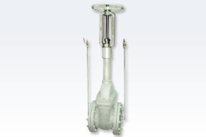 Cryogenic Service Valve
