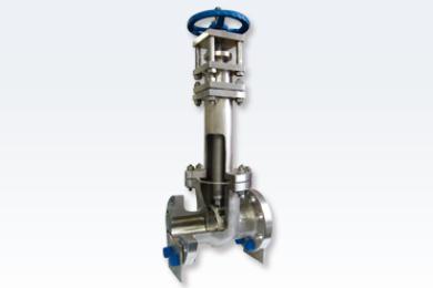 Bellows Seal Valve