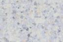 PVC Floor