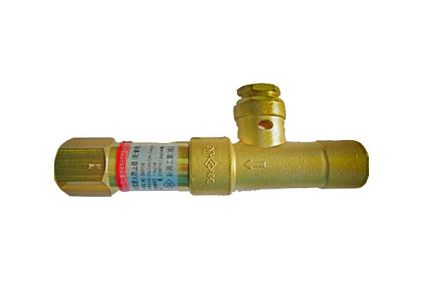 Flashback Arrestor