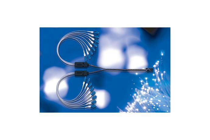 Fan-out Patch Cords Type-II