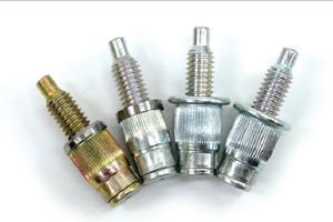 Blind Rivet type Bolts