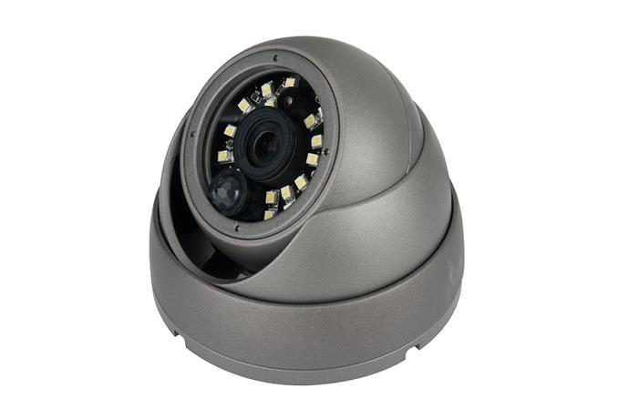 Intrusion Camera
