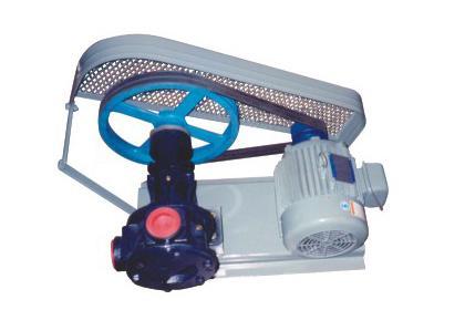 Rotary Gear Pump