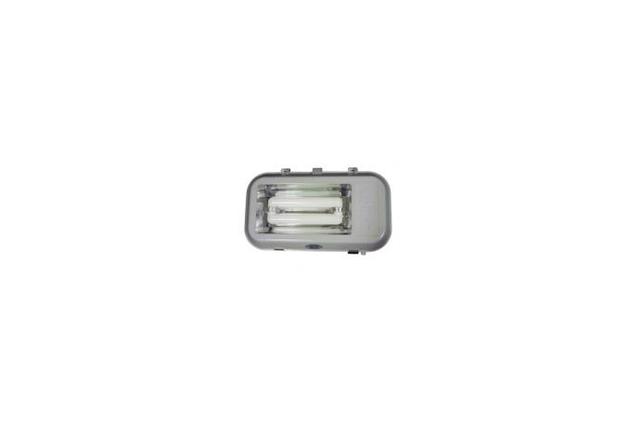 Tunnel Light
