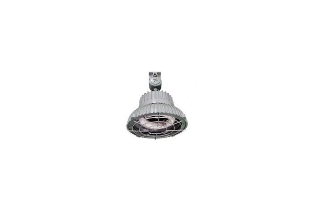 Explosion Proof Light
