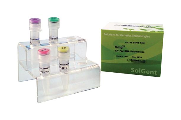 [SEF] Solg™ EF-Taq Polymerase (Amplification)
