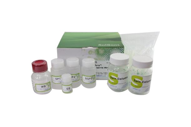 Solg™ Plasmid Mini-prep Kit [Column type] (Plasmid Mini-prep Kit)