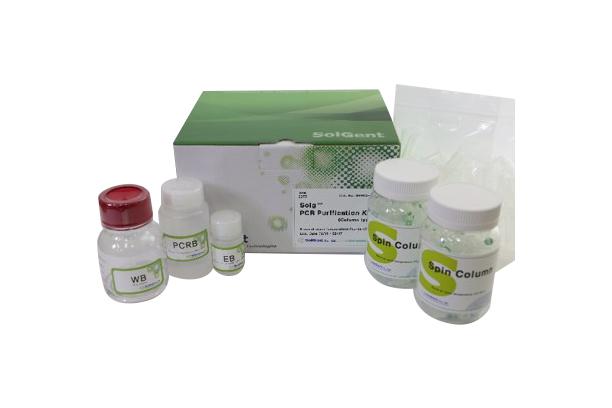 Solg™ Gel & PCR Purification Kit [Column type] (Gel & PCR Purification Kit)