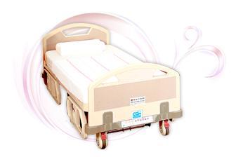 Classic Electric Bed