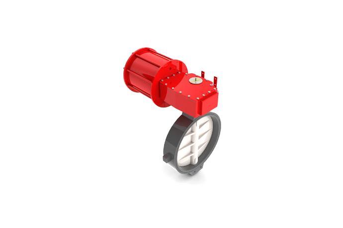 Concentric Type Butterfly Valve