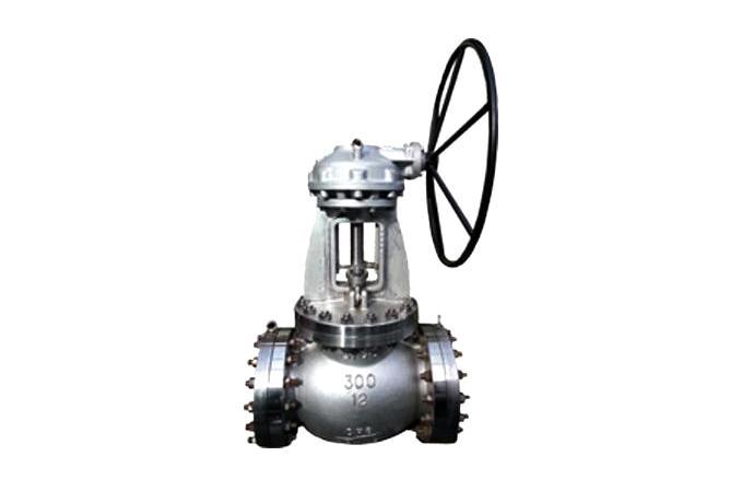 Globe Valve