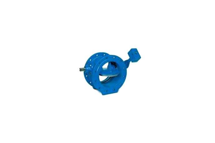 Check Valve