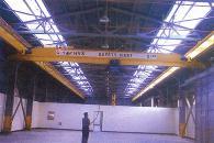 Suspension Crane