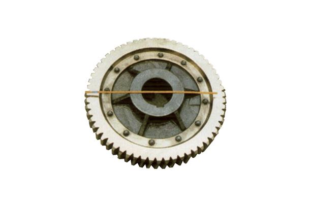 Worm Wheel