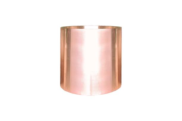 Pintle Bush